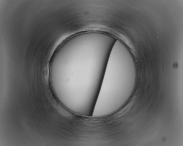 X0000101401275200807071021