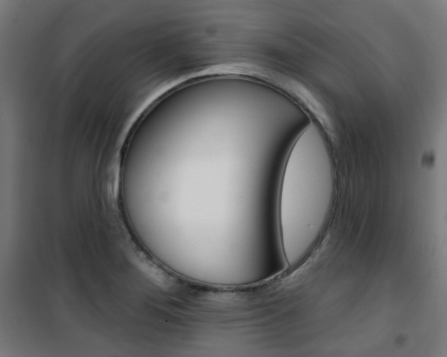 X0000101401276200807071021