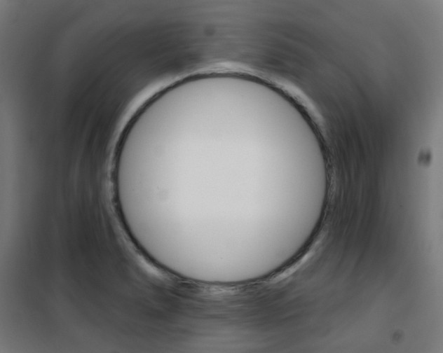 X0000101401278200807071021