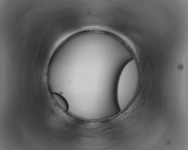 X0000101401279200807071021