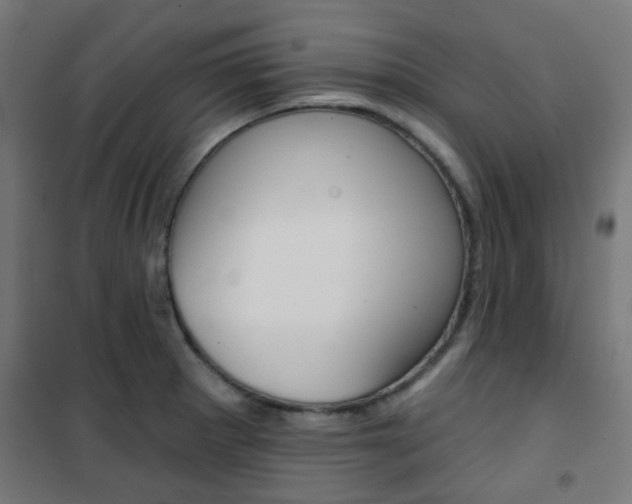 X0000101401281200807071021