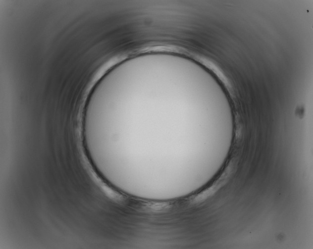 X0000101401282200807071021