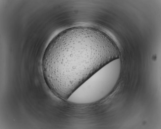X0000101401283200807071021