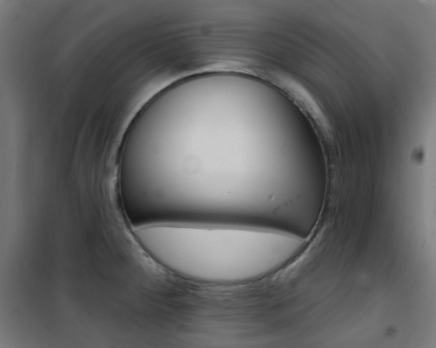 X0000101401284200807071021