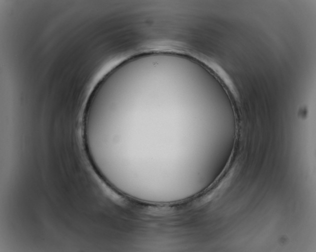 X0000101401285200807071021