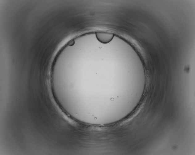X0000101401286200807071021