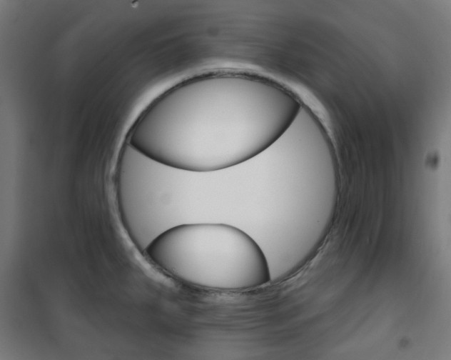 X0000101401287200807071021