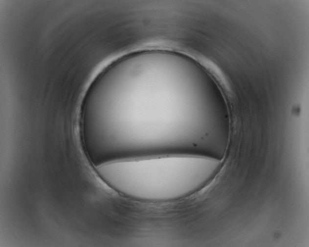 X0000101401288200807071021