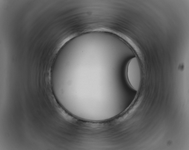 X0000101401289200807071021