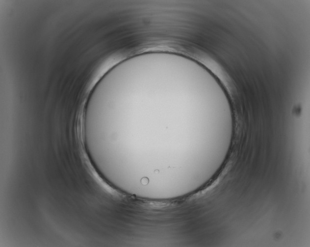 X0000101401290200807071021