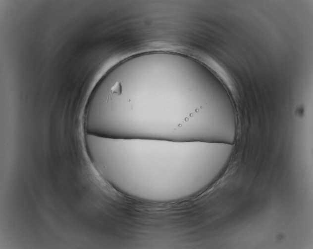 X0000101401291200807071021