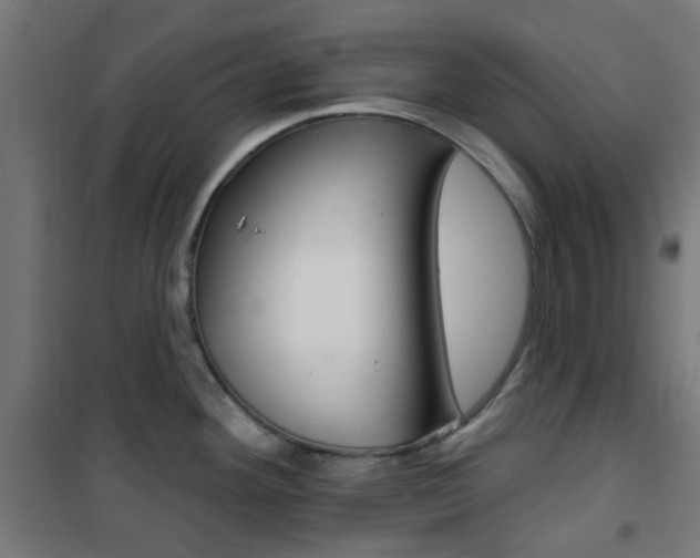 X0000101401292200807071021