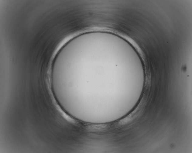 X0000101401294200807071020