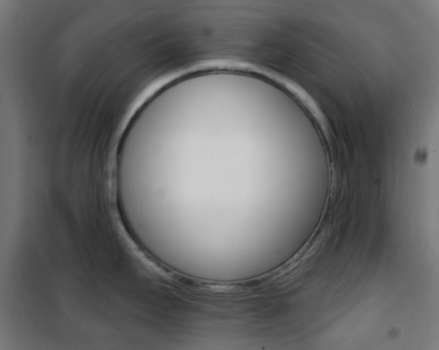 X0000101401295200807071020