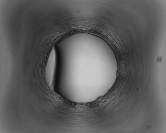 X0000101401297200807071020