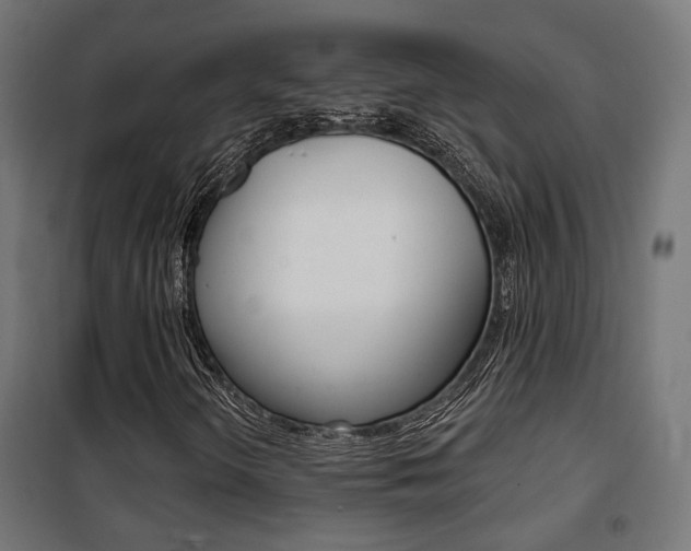 X0000101401298200807071020
