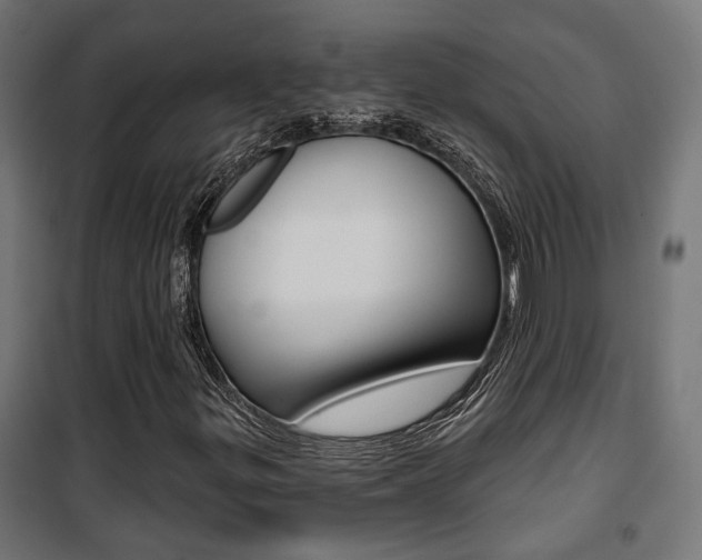 X0000101401299200807071020