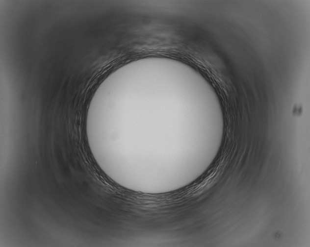 X0000101401300200807071020