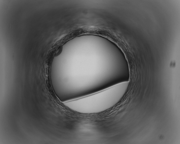 X0000101401301200807071020