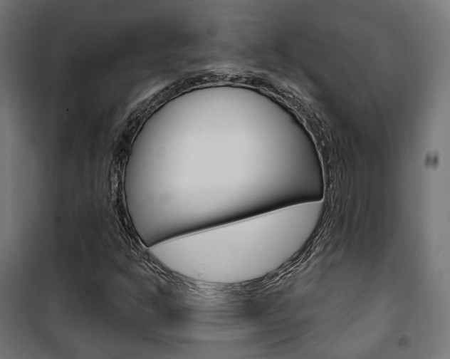 X0000101401302200807071020