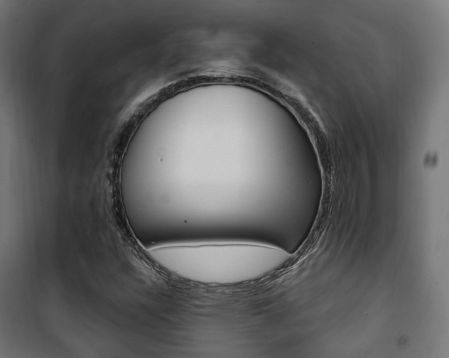 X0000101401304200807071020