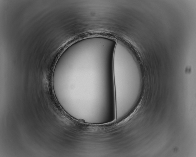 X0000101401305200807071020