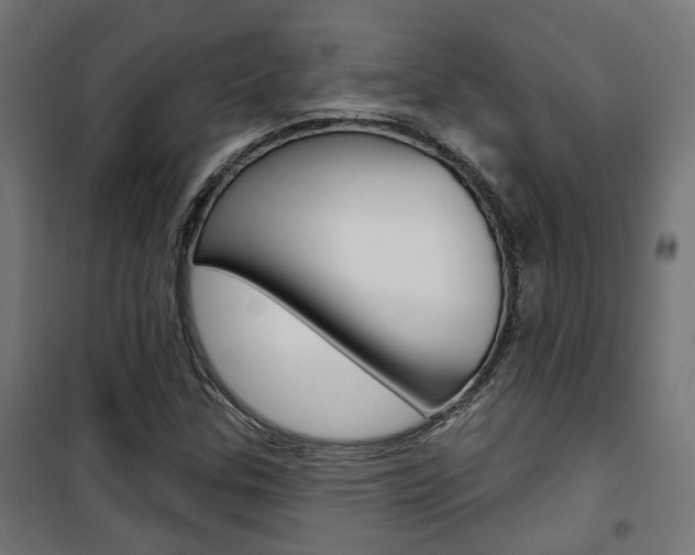 X0000101401307200807071020