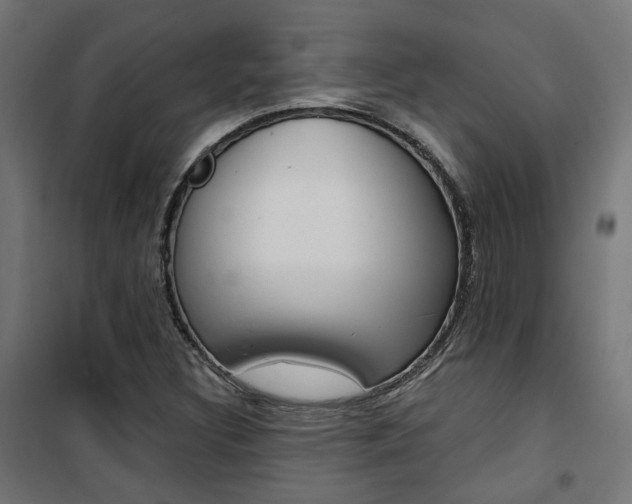 X0000101401308200807071020