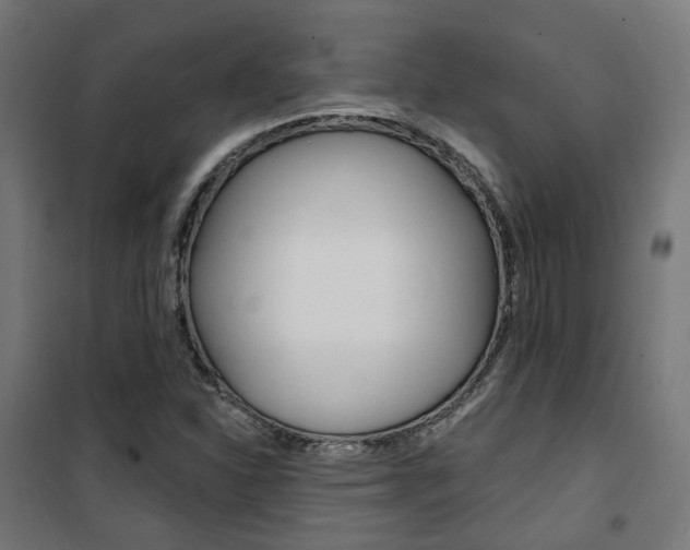 X0000101401310200807071020