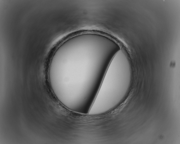 X0000101401311200807071020