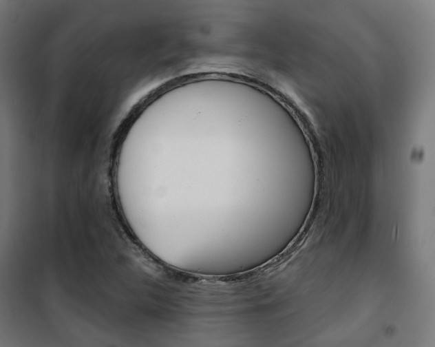 X0000101401312200807071020