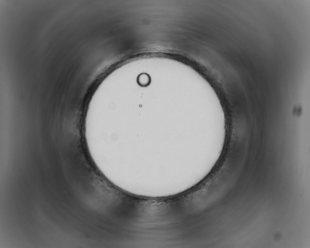 X0000101401314200807071020