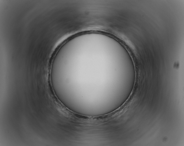 X0000101401316200807071020