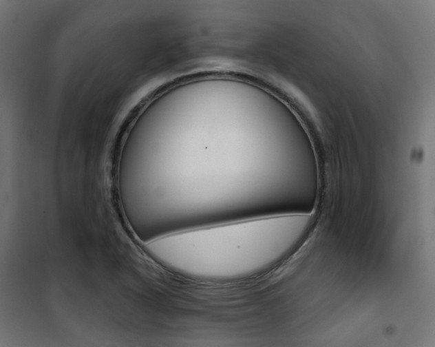 X0000101401318200807071020
