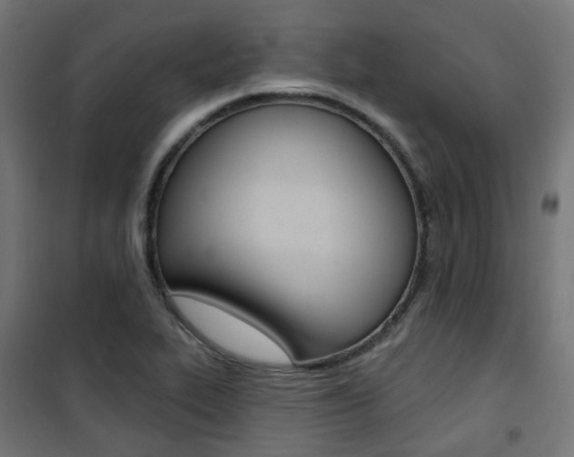X0000101401319200807071020
