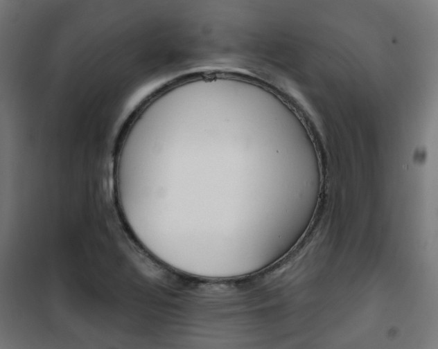 X0000101401320200807071020