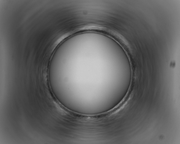 X0000101401321200807071020
