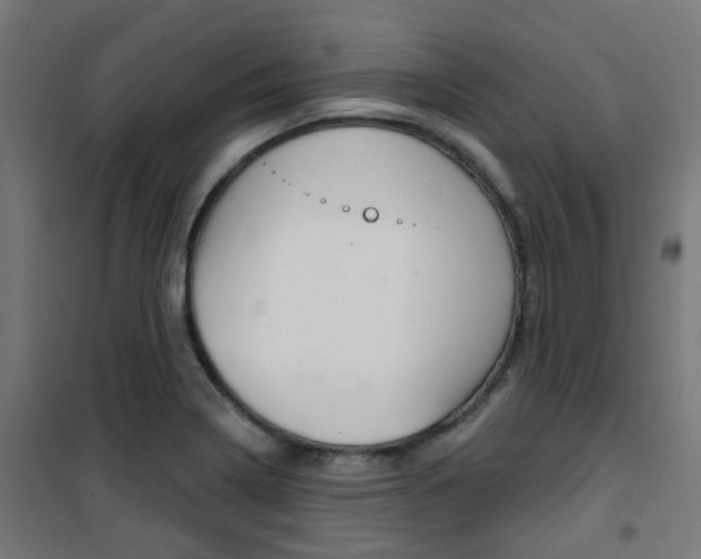 X0000101401322200807071020