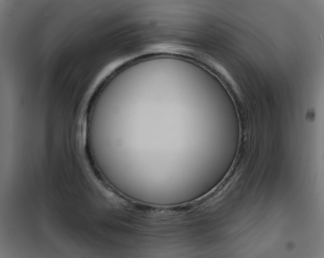 X0000101401323200807071020