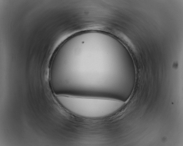 X0000101401324200807071020