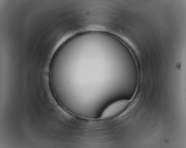 X0000101401325200807071020