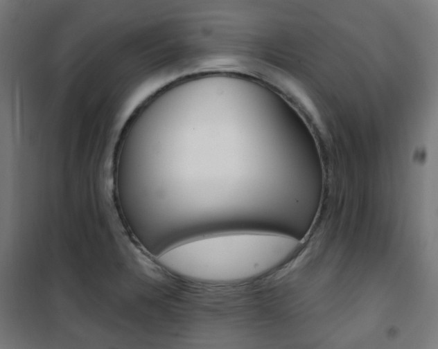 X0000101401328200807071020