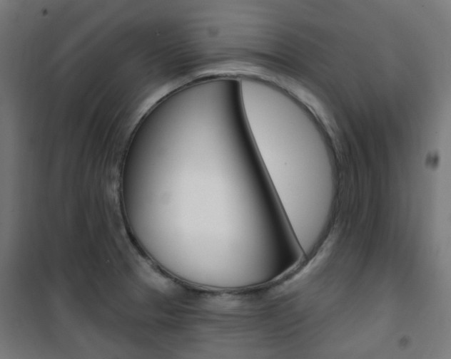 X0000101401329200807071020