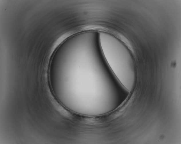 X0000101401330200807071020