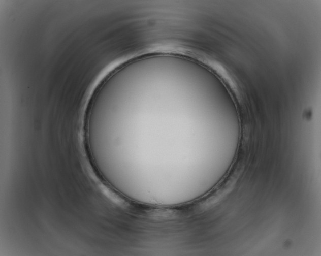 X0000101401331200807071020
