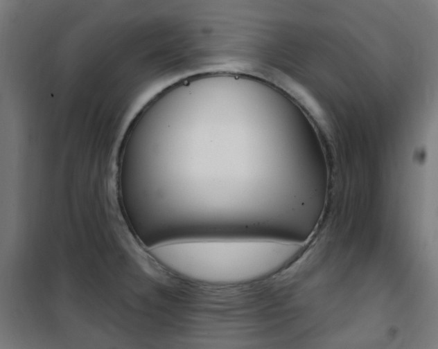 X0000101401332200807071020