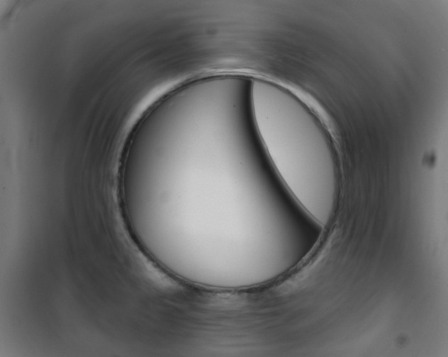 X0000101401333200807071020