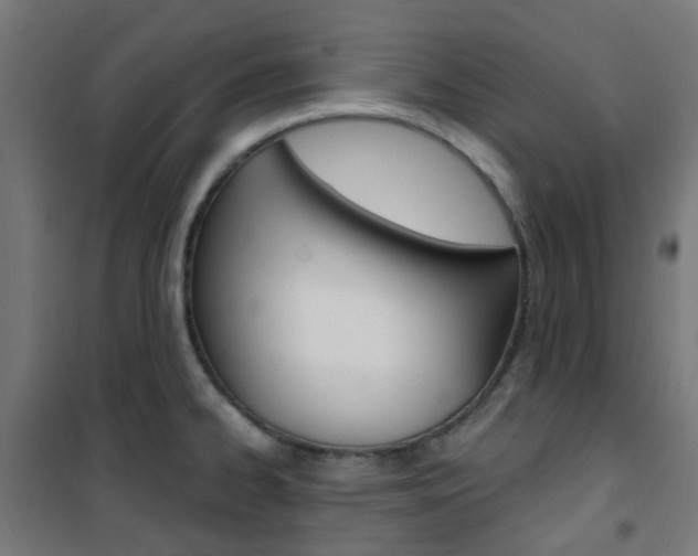 X0000101401334200807071020