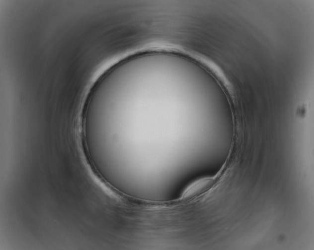 X0000101401335200807071020
