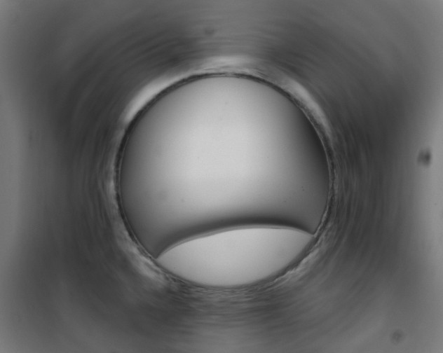 X0000101401336200807071020